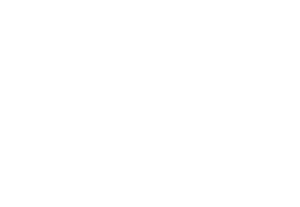 University of Texas at Austin logo in white